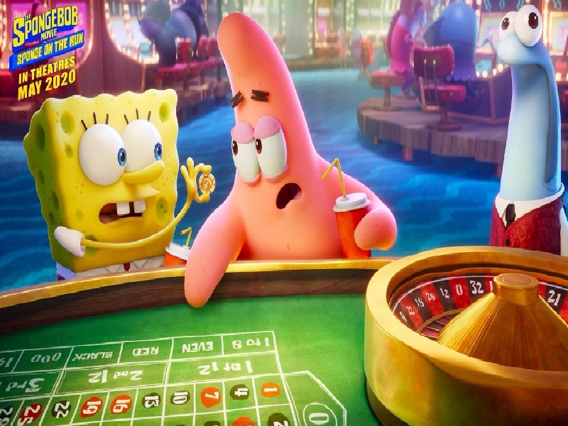 怎么装饰试管蚁巢，悉尼 医院 检查费用