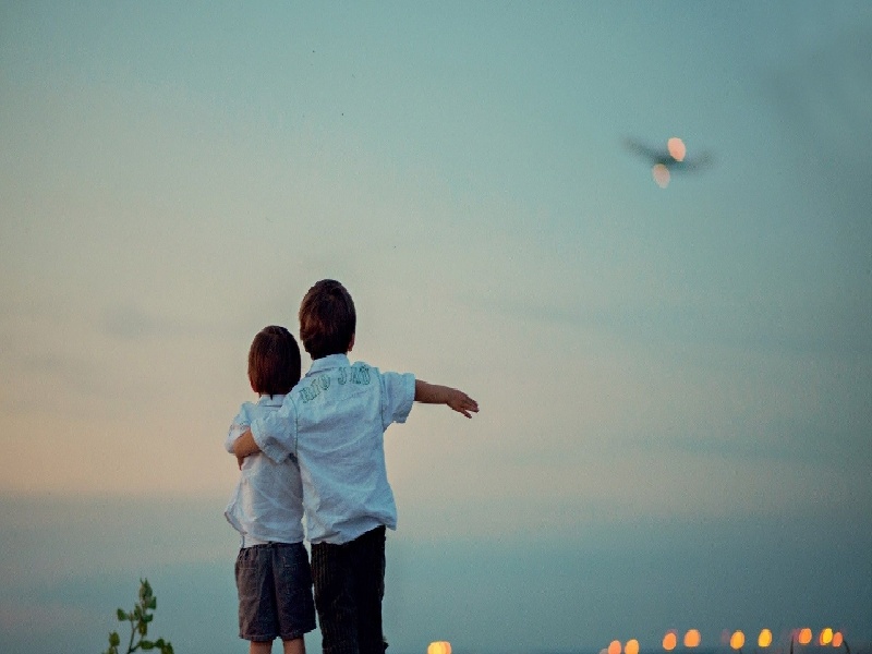 代加工核酸试管，试管移植试验法